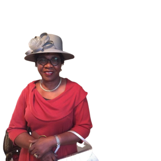 Mrs Bolaji J Dayo